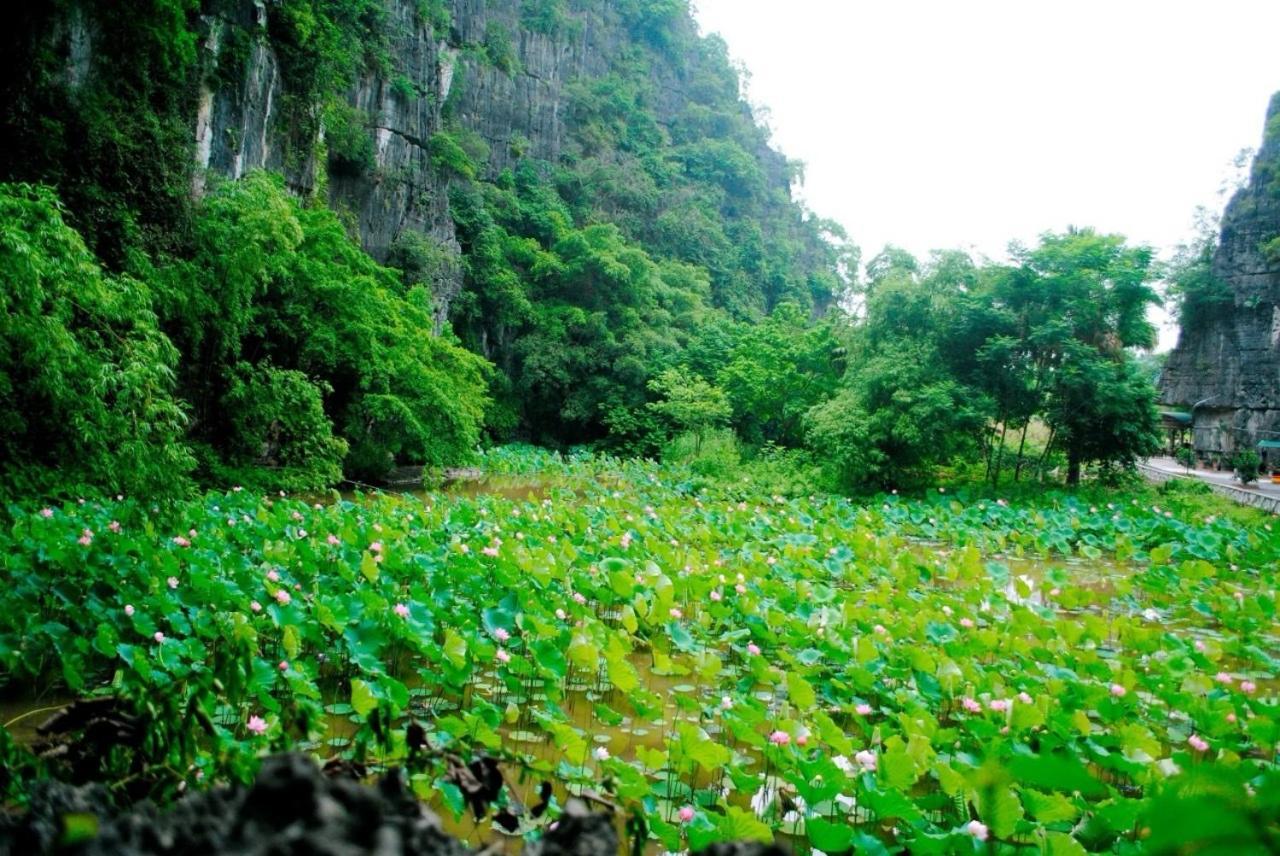 Tamcoc Viet Tan Homestay & Garden Νιν Μπιν Εξωτερικό φωτογραφία